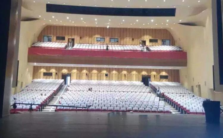 山東臨沂劇院聲學工程 山東臨沂劇院聲學工程